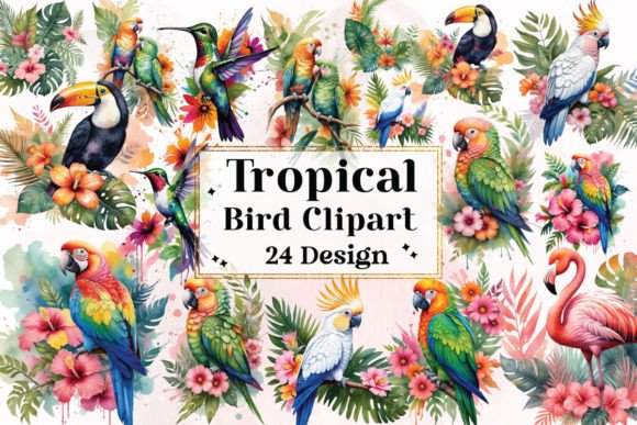 Download Tropical Bird Clipart Bundle - Clipart bundle Collection