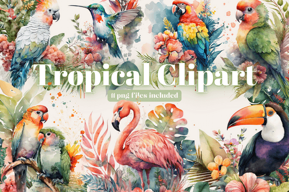 Download Tropical Bird Clipart Bundle - Clipart bundle Collection