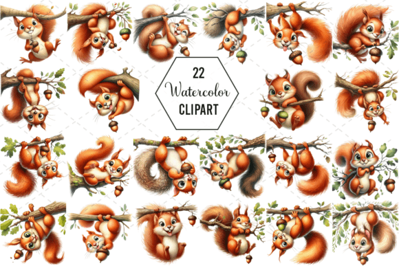 Download Silly Squirrel Watercolor Clipart Bundle - Clipart bundle Collection